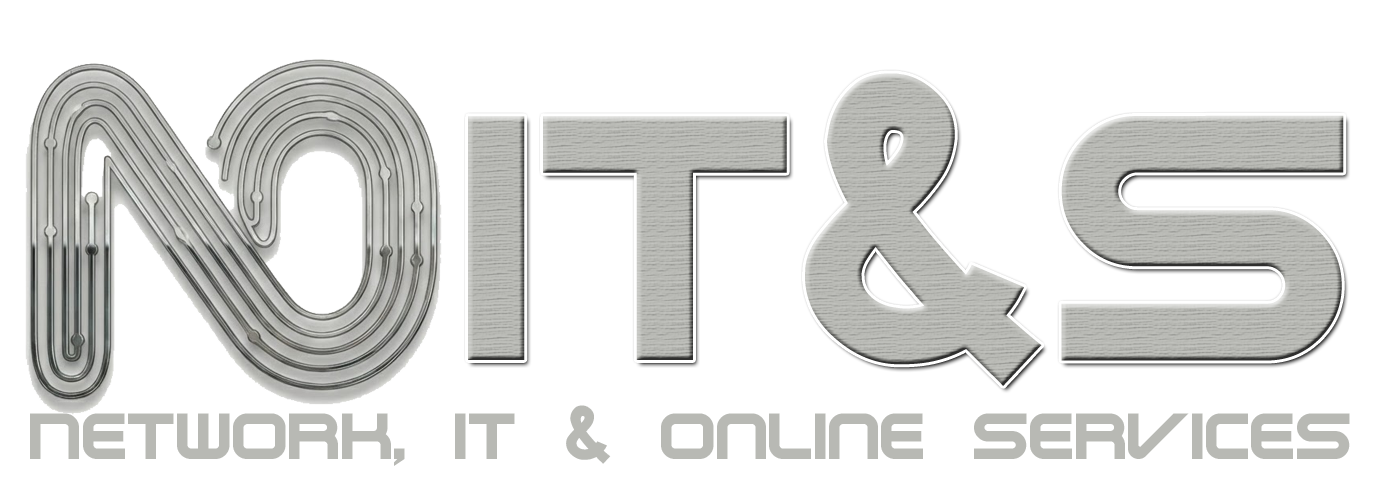 n-it-s logo